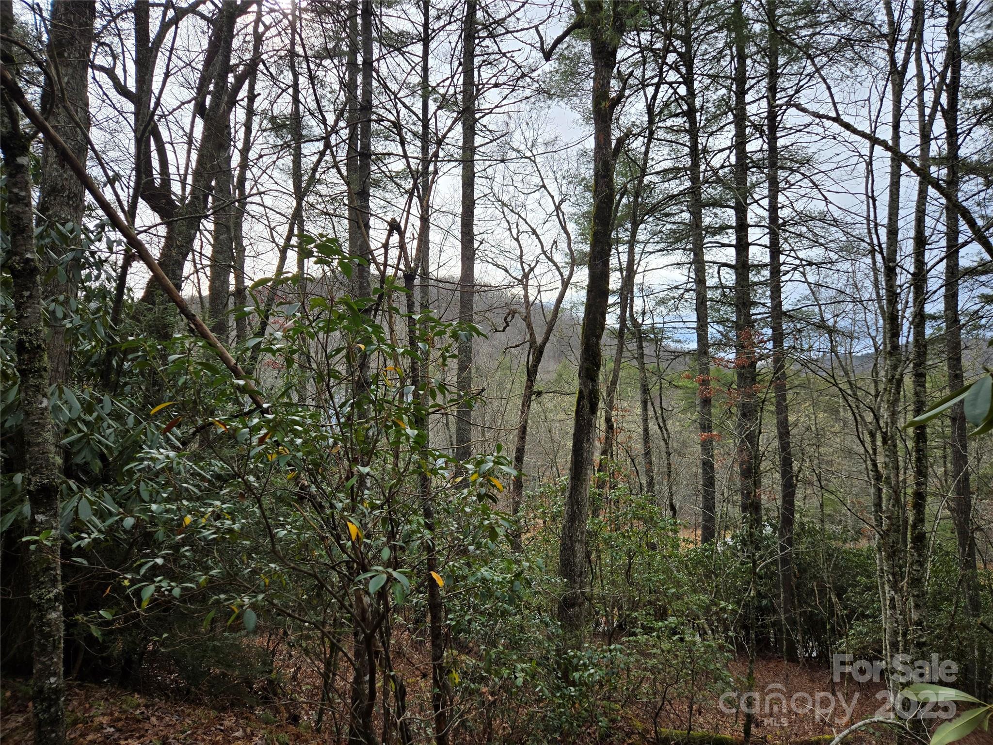 Tuckasegee NC 28783