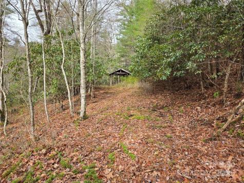 Tuckasegee NC 28783