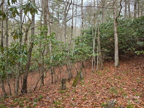 Tuckasegee NC 28783