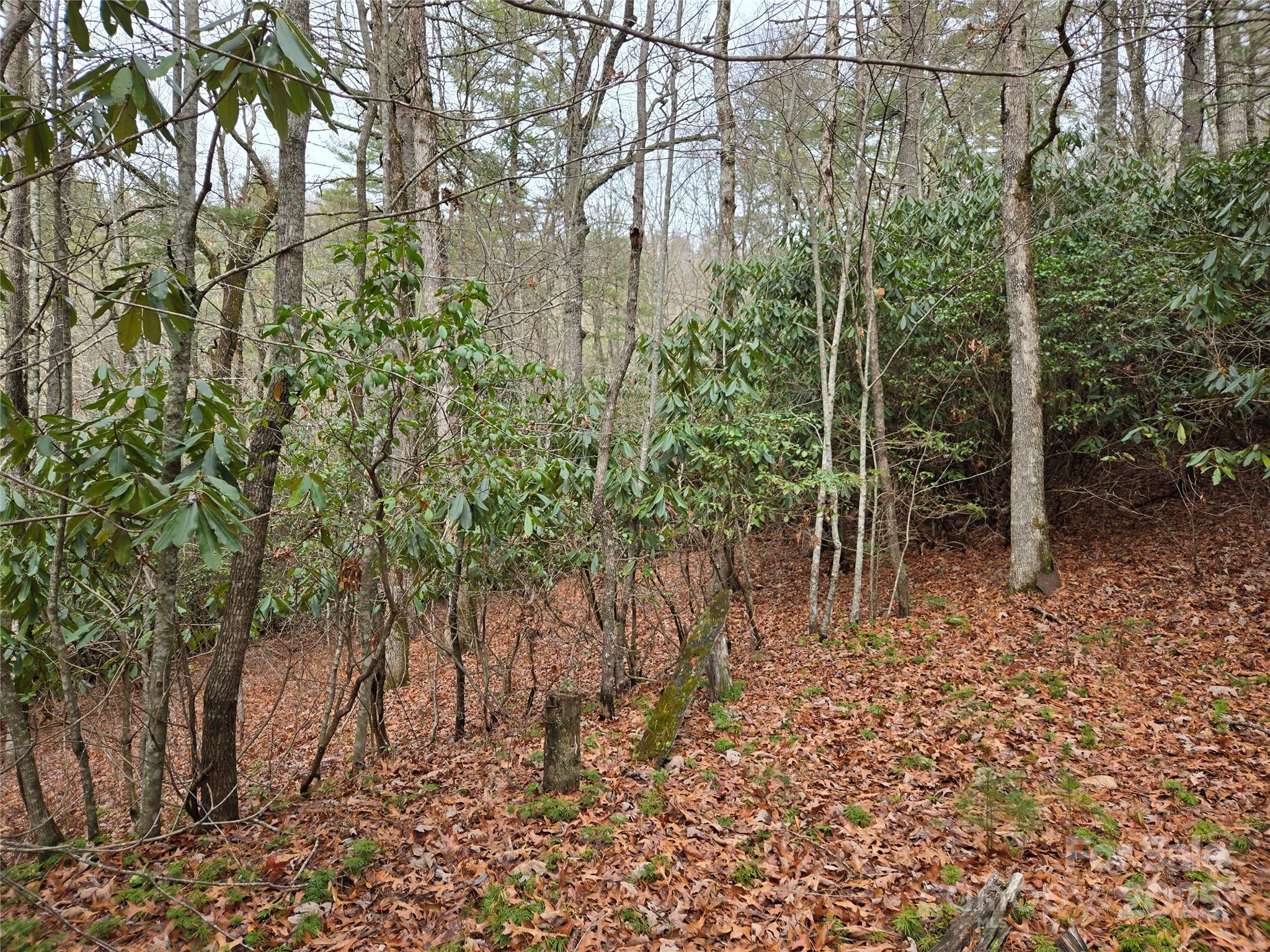 Tuckasegee NC 28783