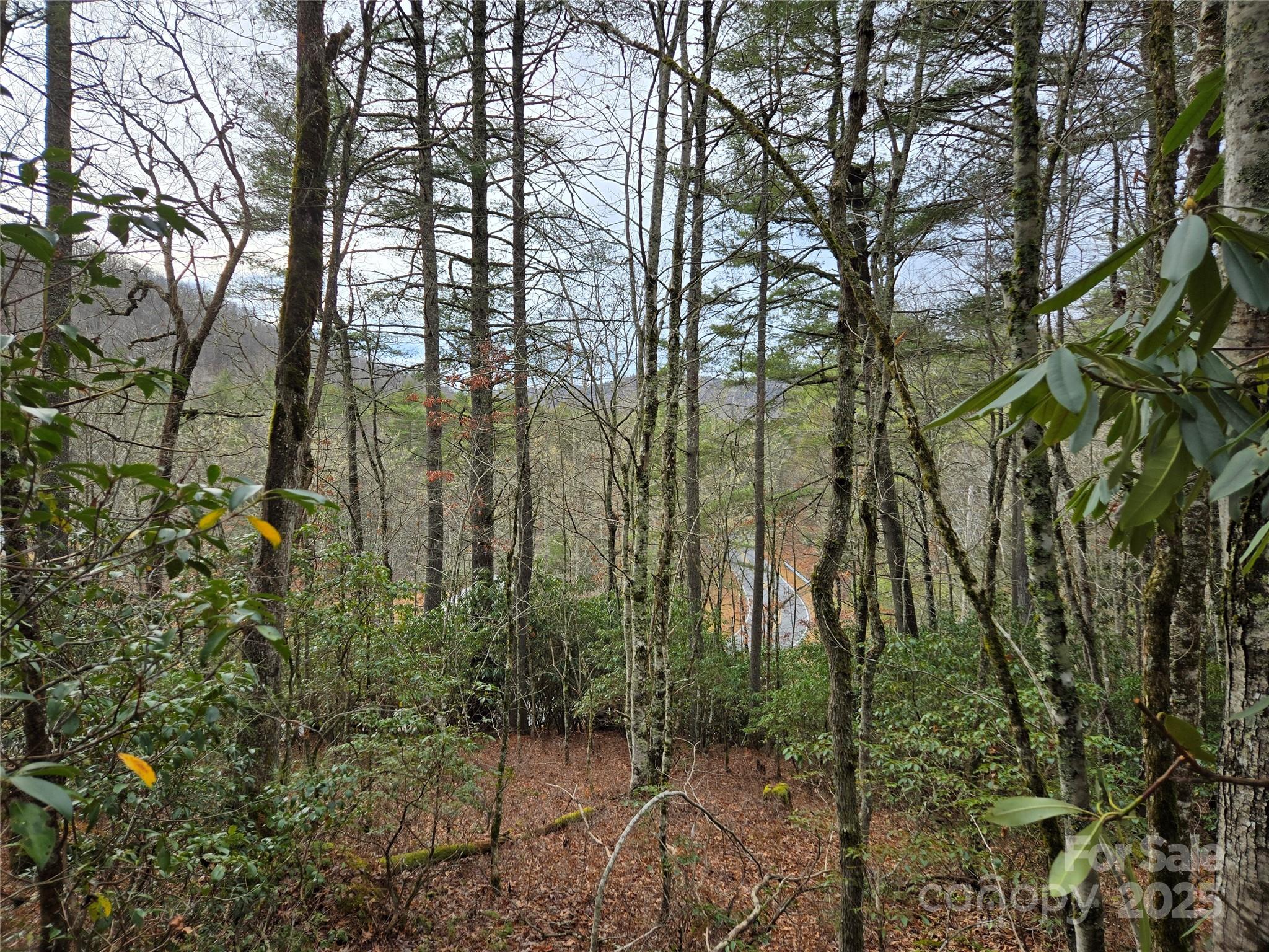 Tuckasegee NC 28783
