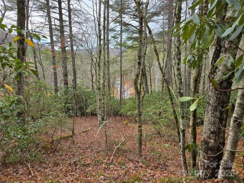 Tuckasegee NC 28783