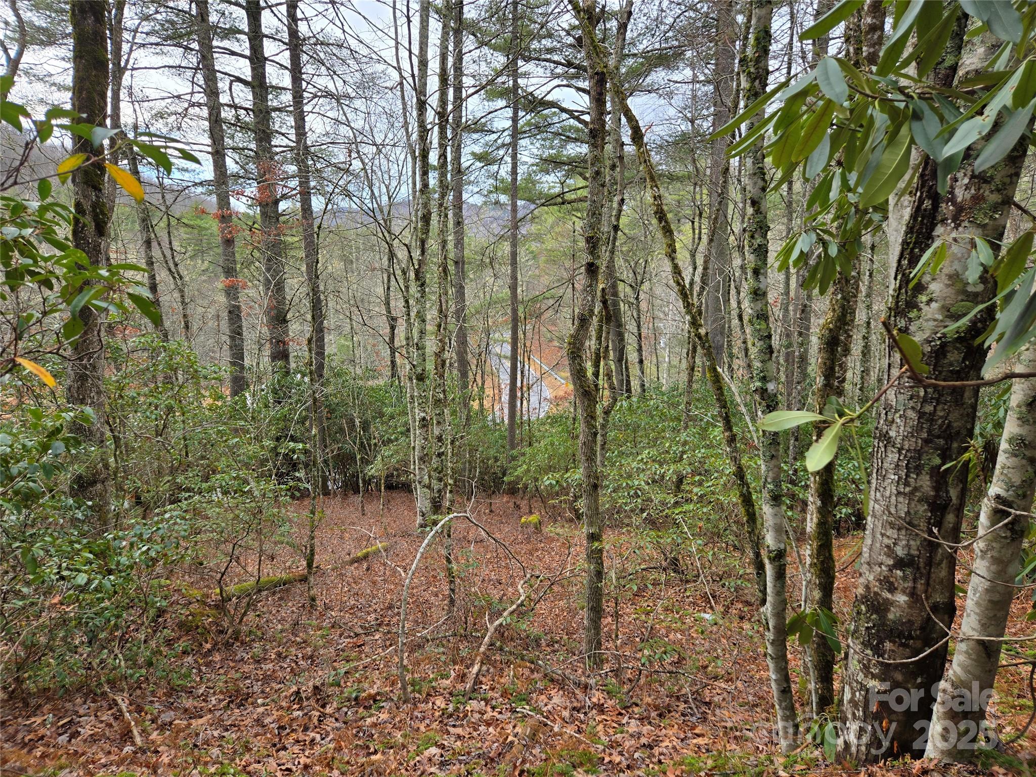 Tuckasegee NC 28783