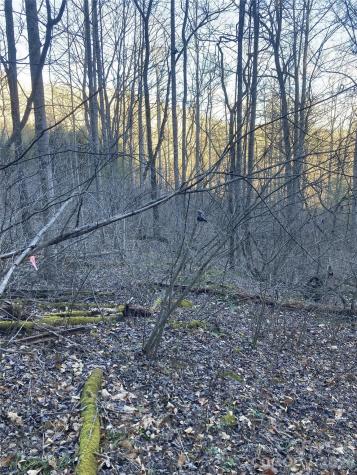 00 Sweet Creek Road Bakersville NC 28705