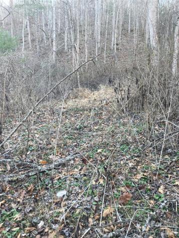 00 Sweet Creek Road Bakersville NC 28705