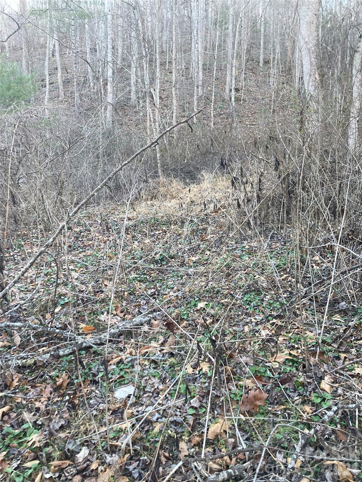 00 Sweet Creek Road Bakersville NC 28705