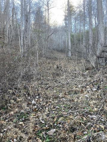 00 Sweet Creek Road Bakersville NC 28705