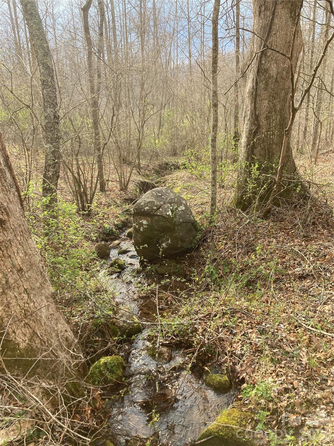00 Sweet Creek Road Bakersville NC 28705