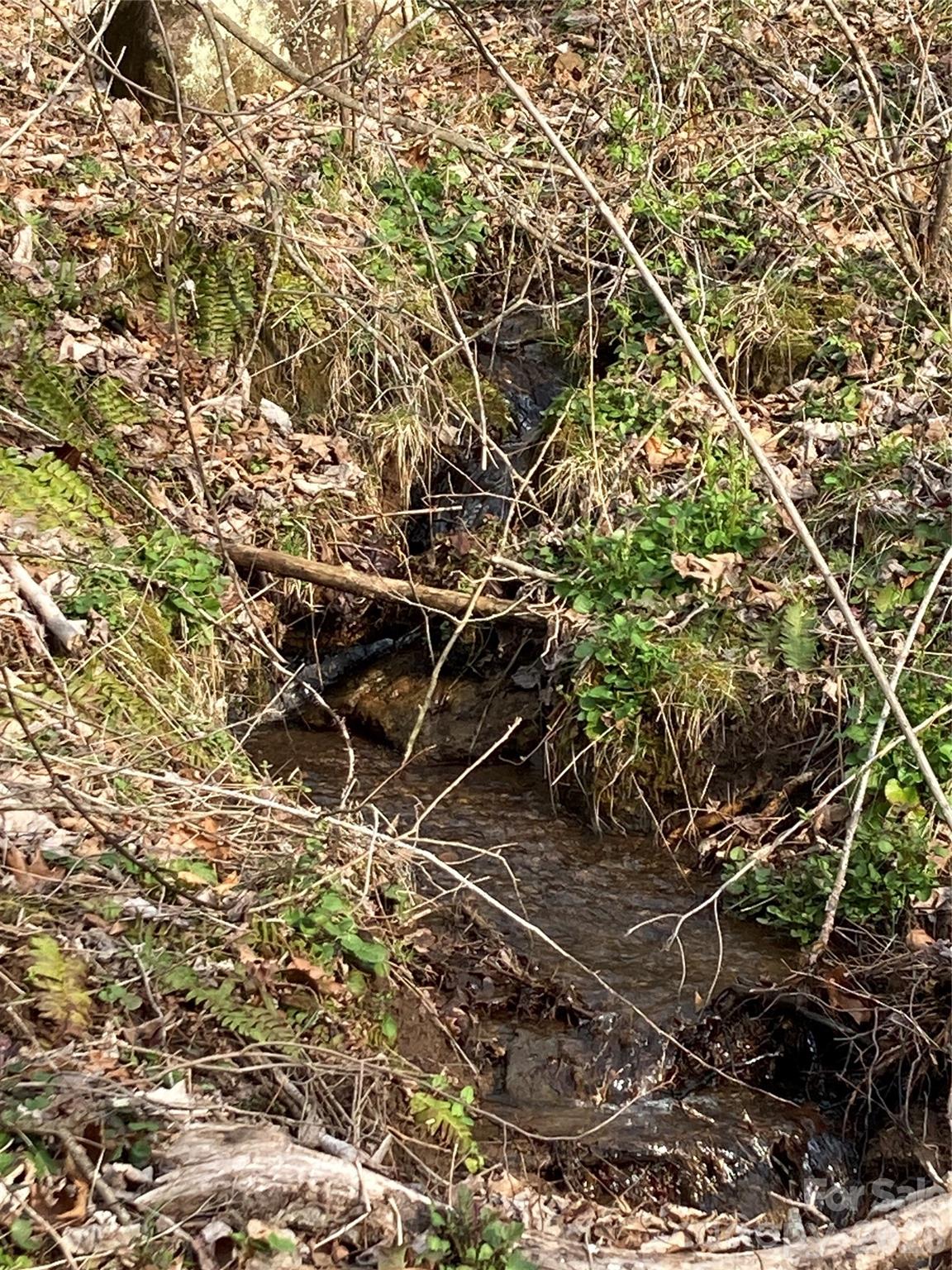 00 Sweet Creek Road Bakersville NC 28705