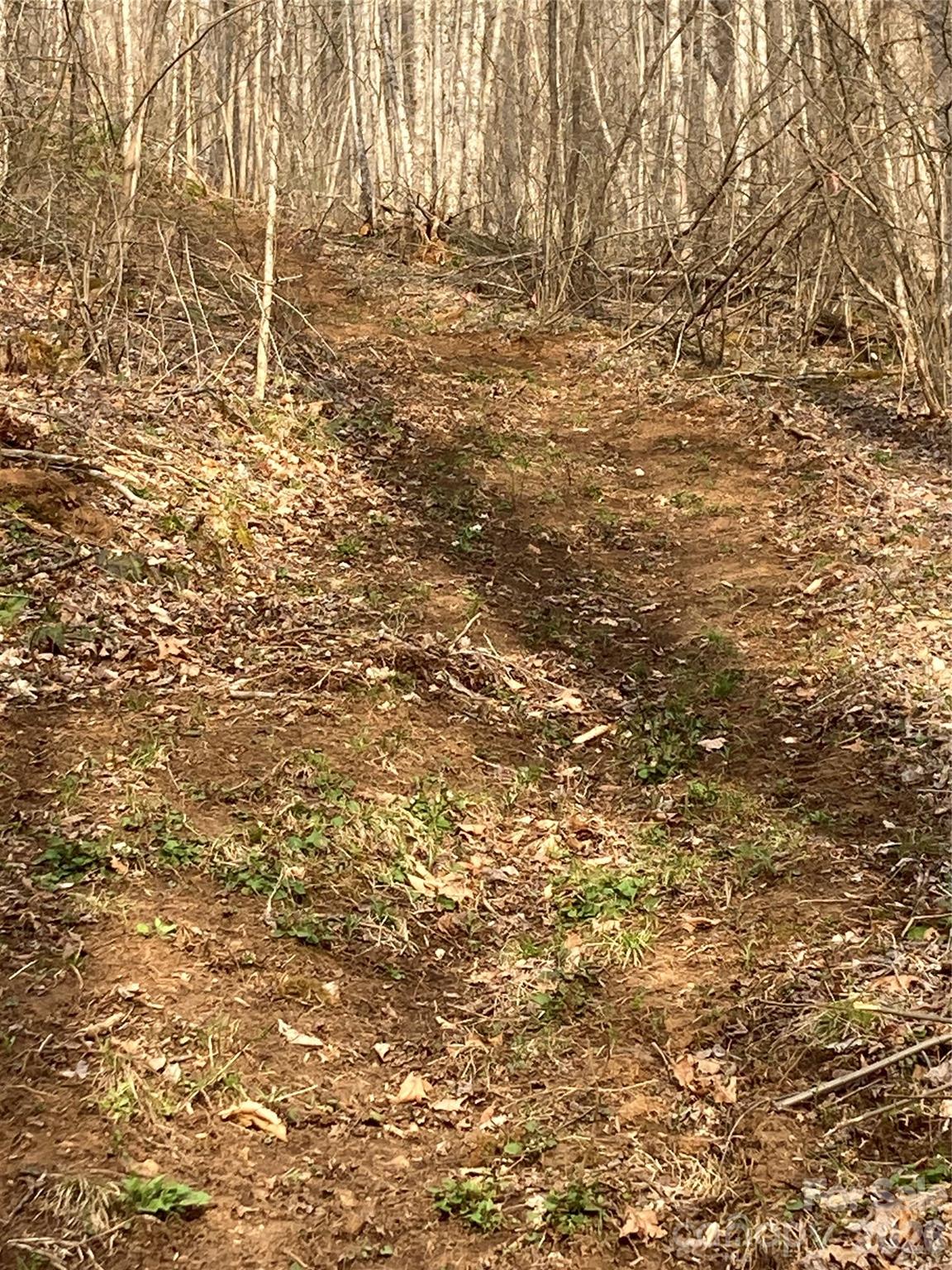 00 Sweet Creek Road Bakersville NC 28705