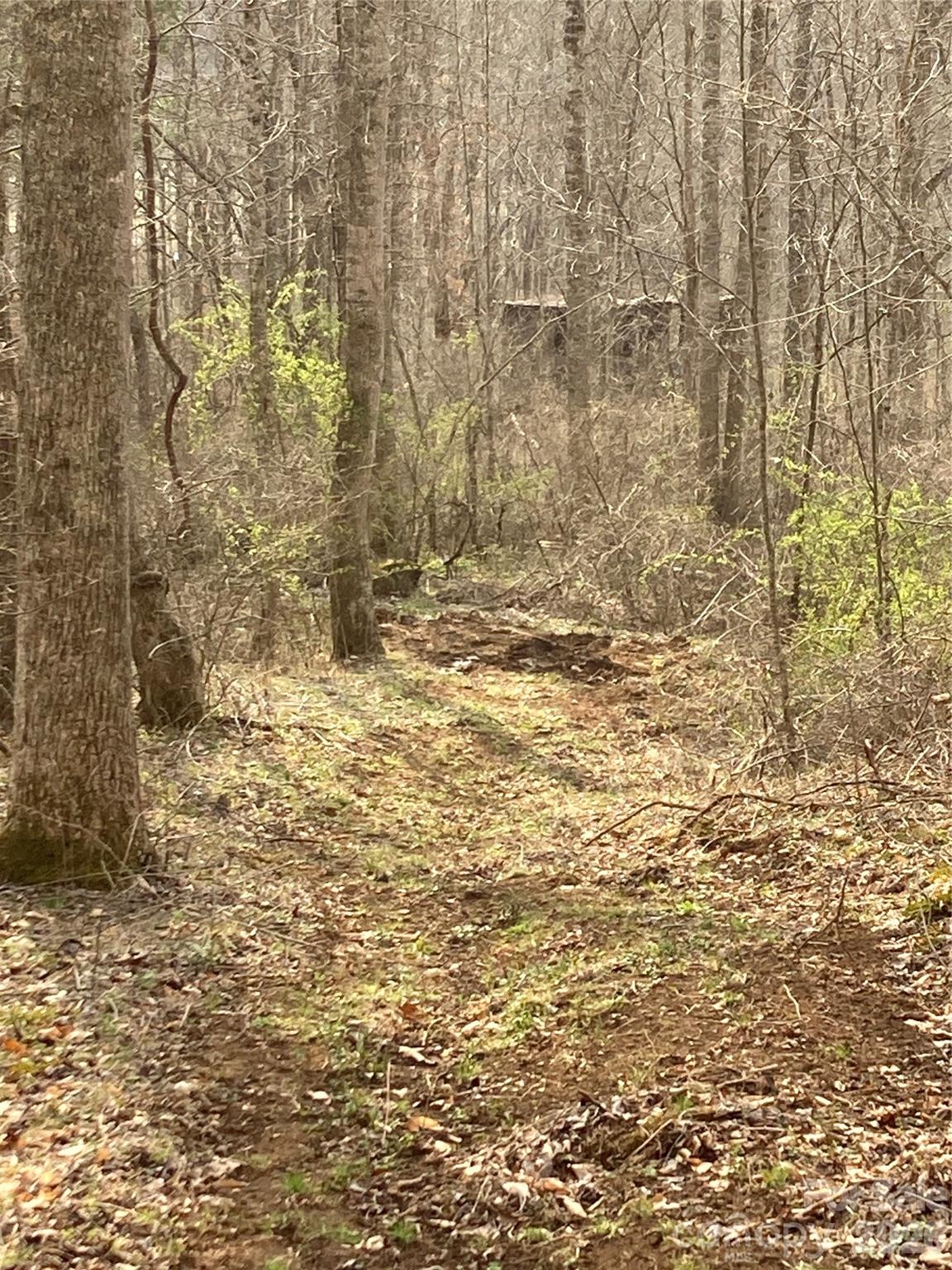 00 Sweet Creek Road Bakersville NC 28705