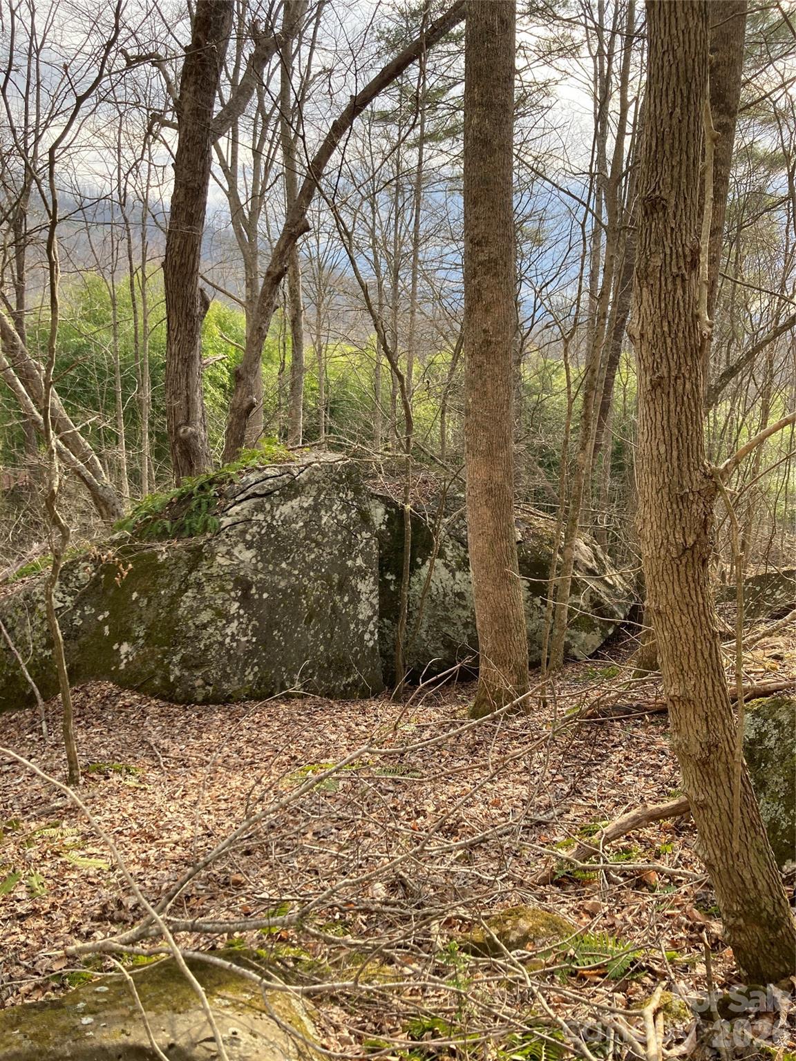 00 Sweet Creek Road Bakersville NC 28705