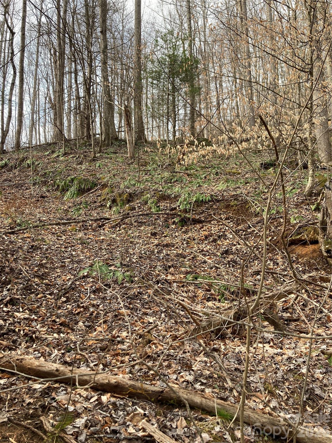 00 Sweet Creek Road Bakersville NC 28705