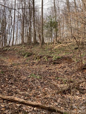 00 Sweet Creek Road Bakersville NC 28705