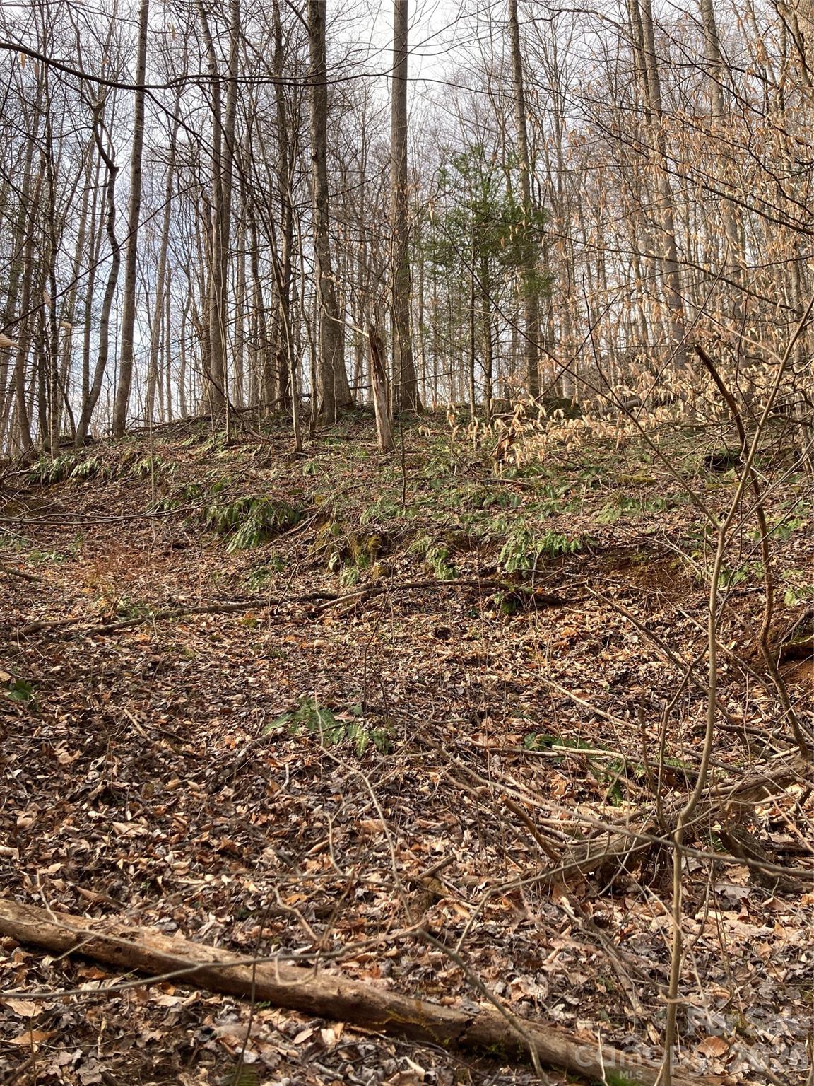 00 Sweet Creek Road Bakersville NC 28705
