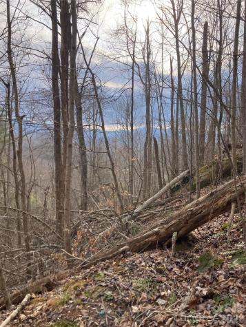 00 Sweet Creek Road Bakersville NC 28705