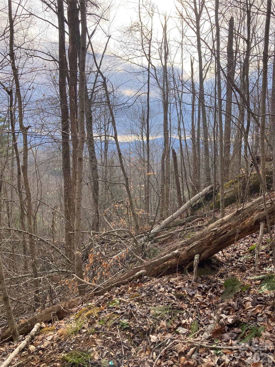 00 Sweet Creek Road Bakersville NC 28705