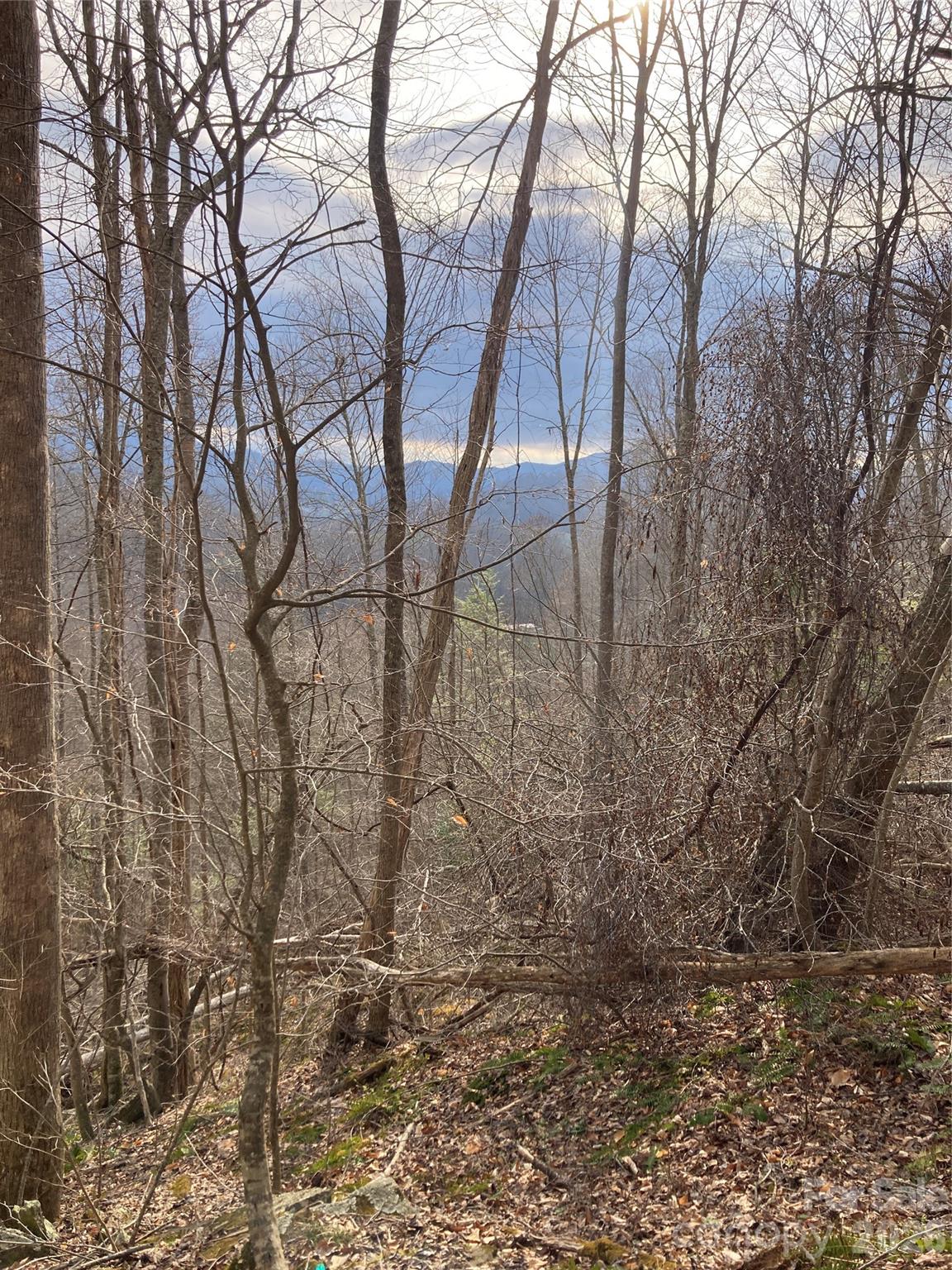 00 Sweet Creek Road Bakersville NC 28705