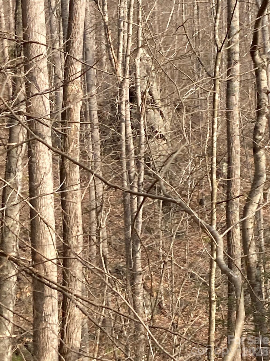 00 Sweet Creek Road Bakersville NC 28705
