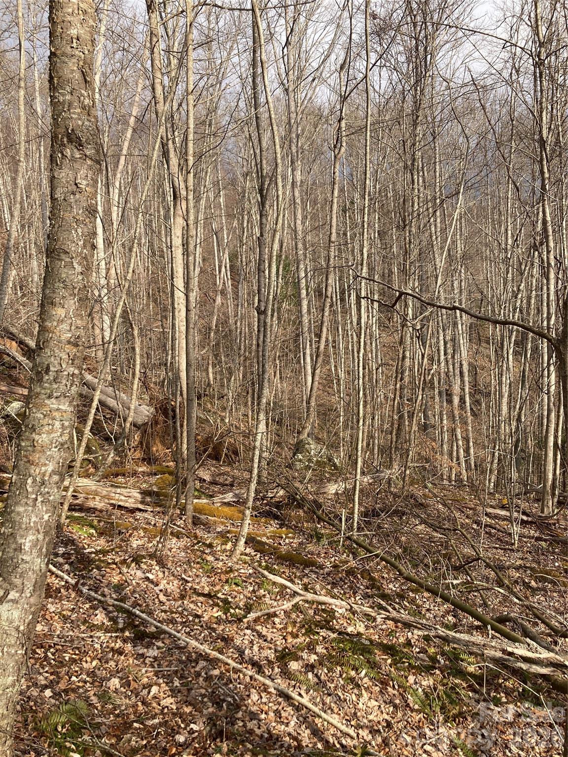 00 Sweet Creek Road Bakersville NC 28705