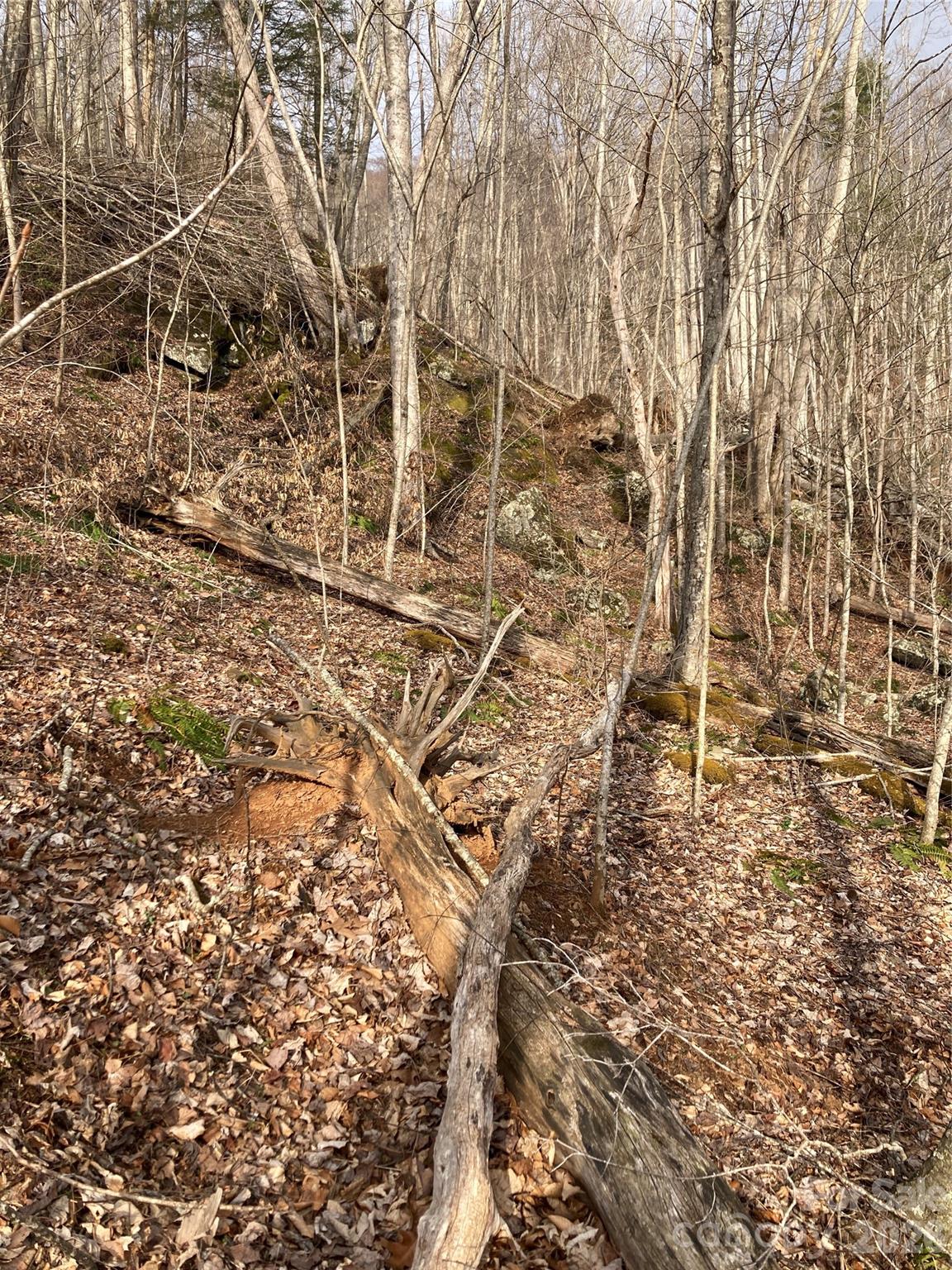 00 Sweet Creek Road Bakersville NC 28705