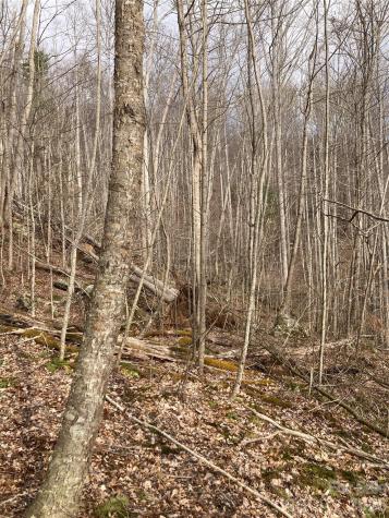 00 Sweet Creek Road Bakersville NC 28705