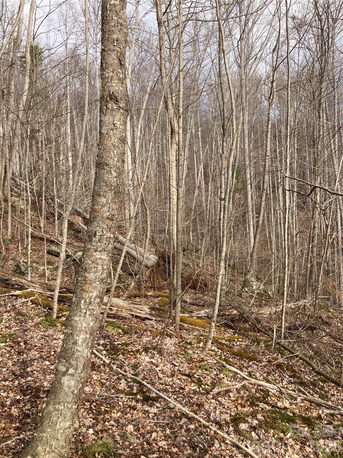 00 Sweet Creek Road Bakersville NC 28705
