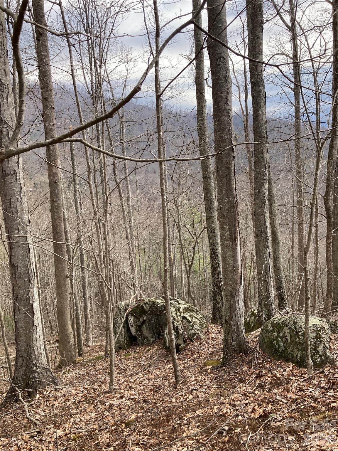 00 Sweet Creek Road Bakersville NC 28705