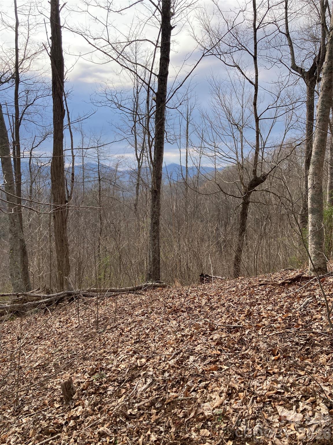 00 Sweet Creek Road Bakersville NC 28705