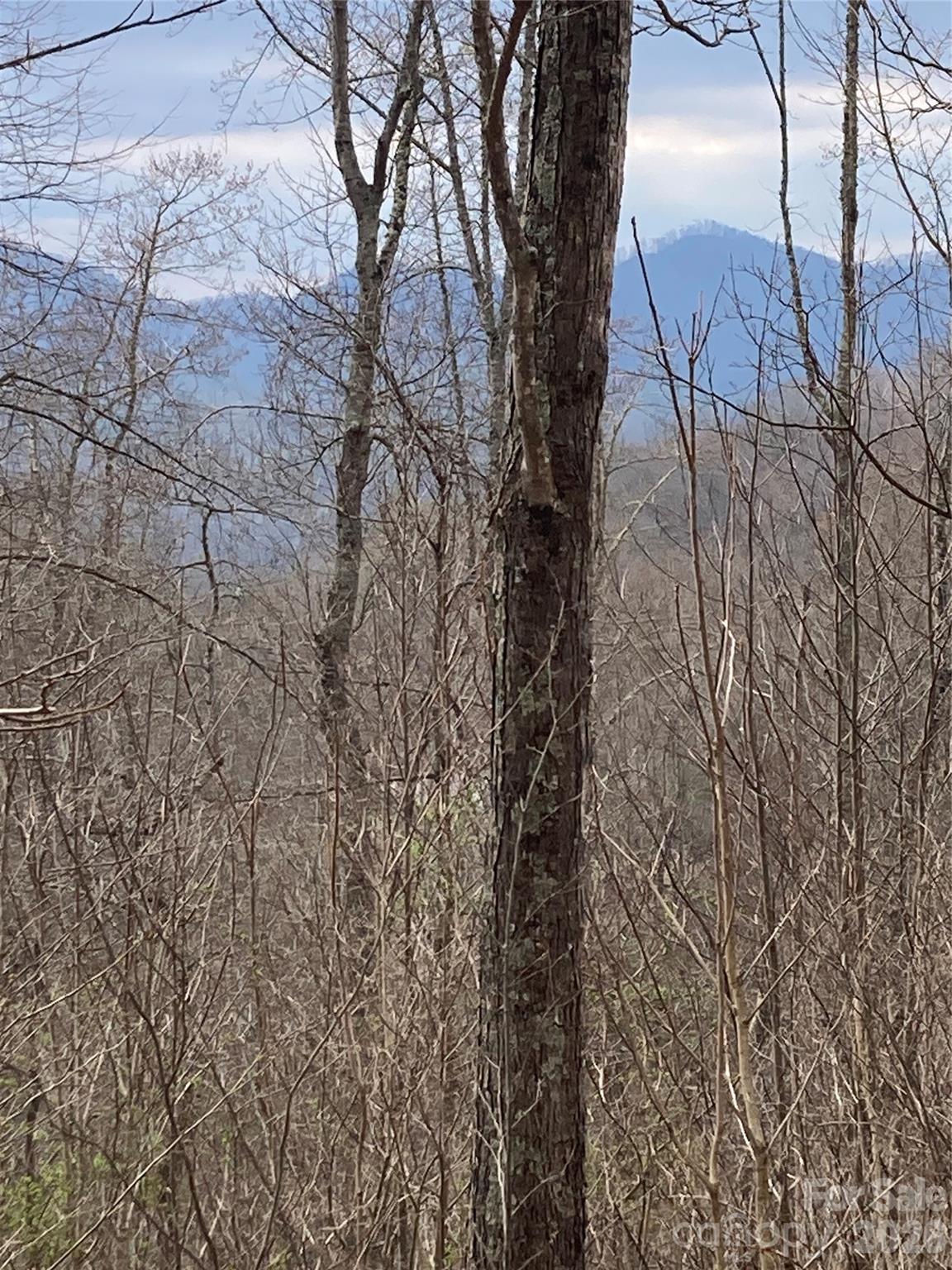 00 Sweet Creek Road Bakersville NC 28705