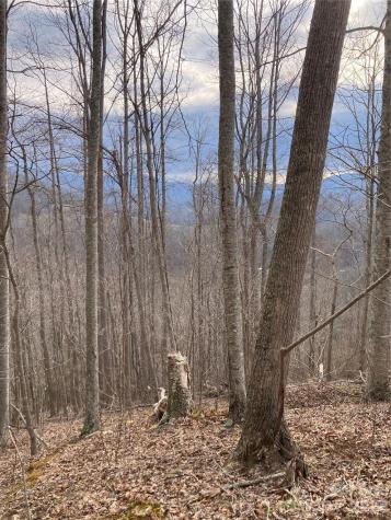 00 Sweet Creek Road Bakersville NC 28705