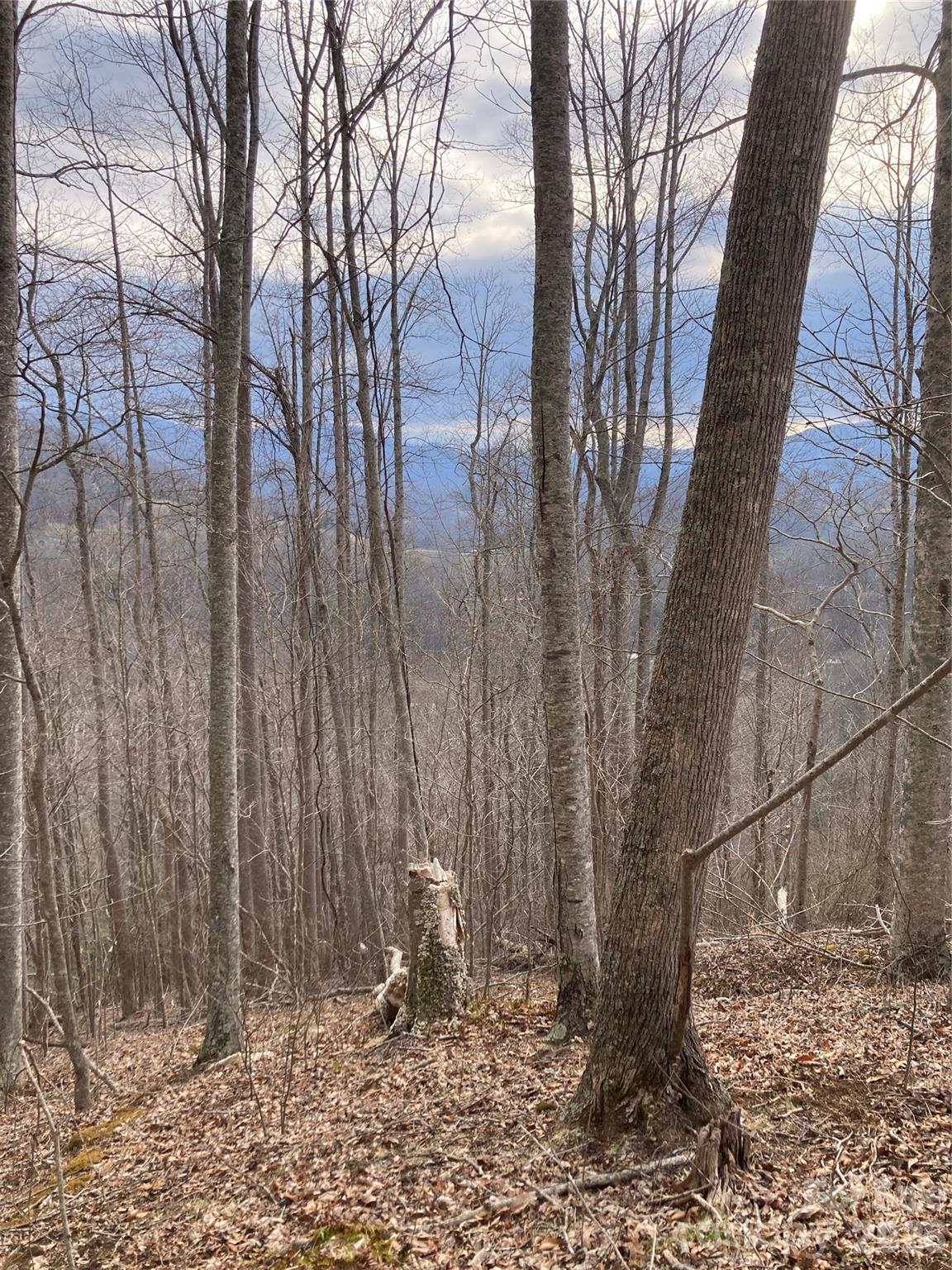 00 Sweet Creek Road Bakersville NC 28705