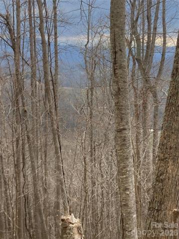 00 Sweet Creek Road Bakersville NC 28705