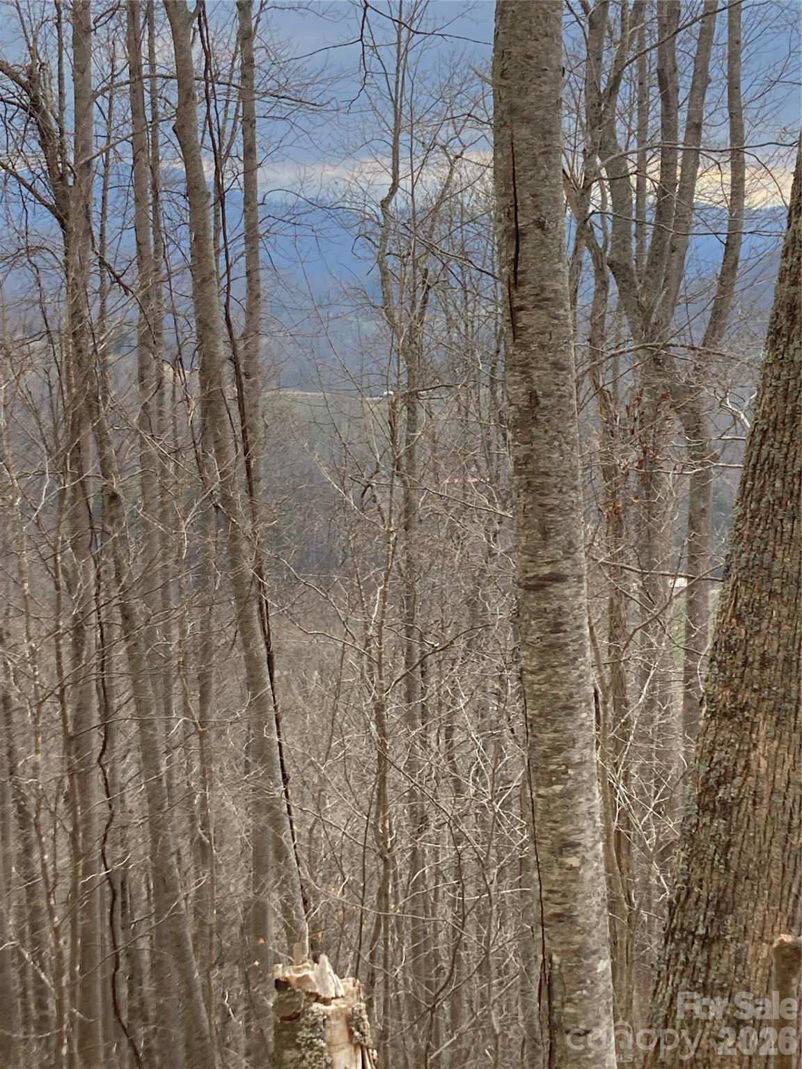 00 Sweet Creek Road Bakersville NC 28705