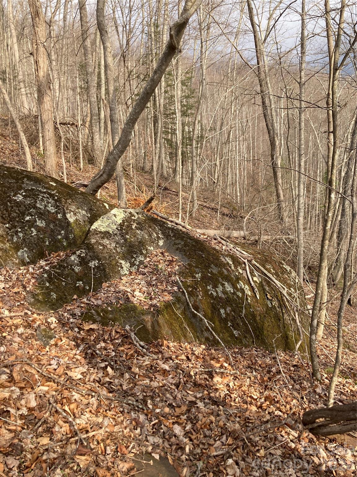 00 Sweet Creek Road Bakersville NC 28705