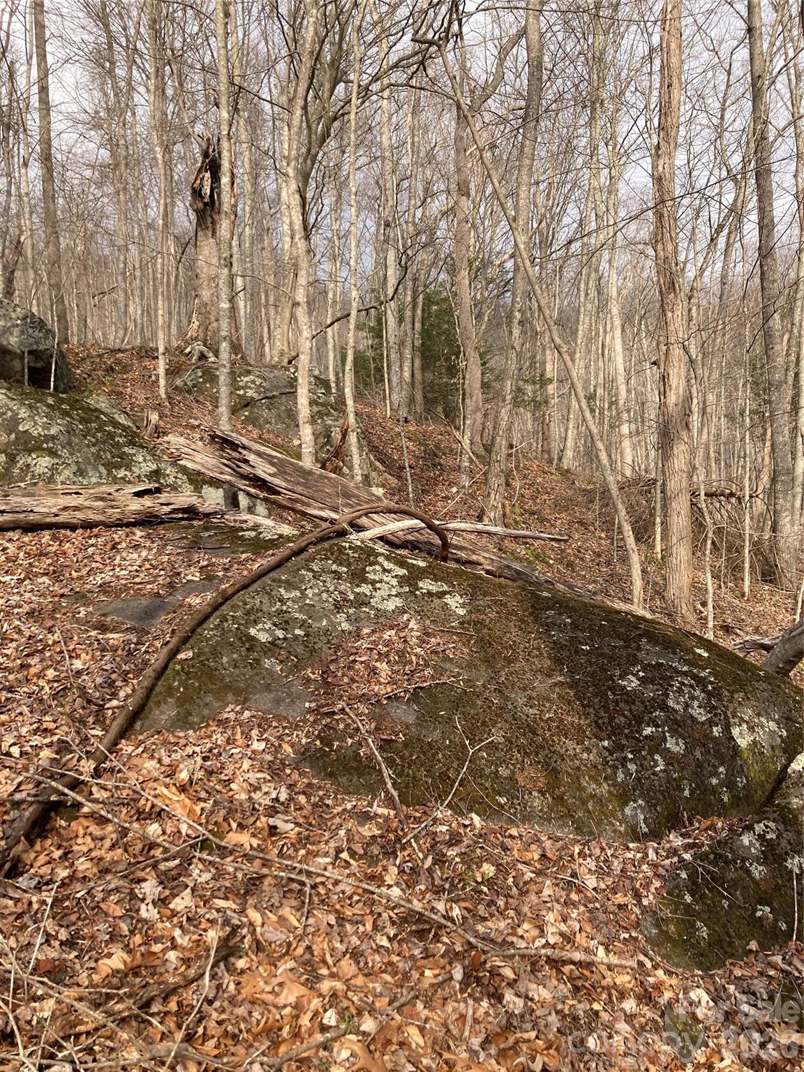00 Sweet Creek Road Bakersville NC 28705