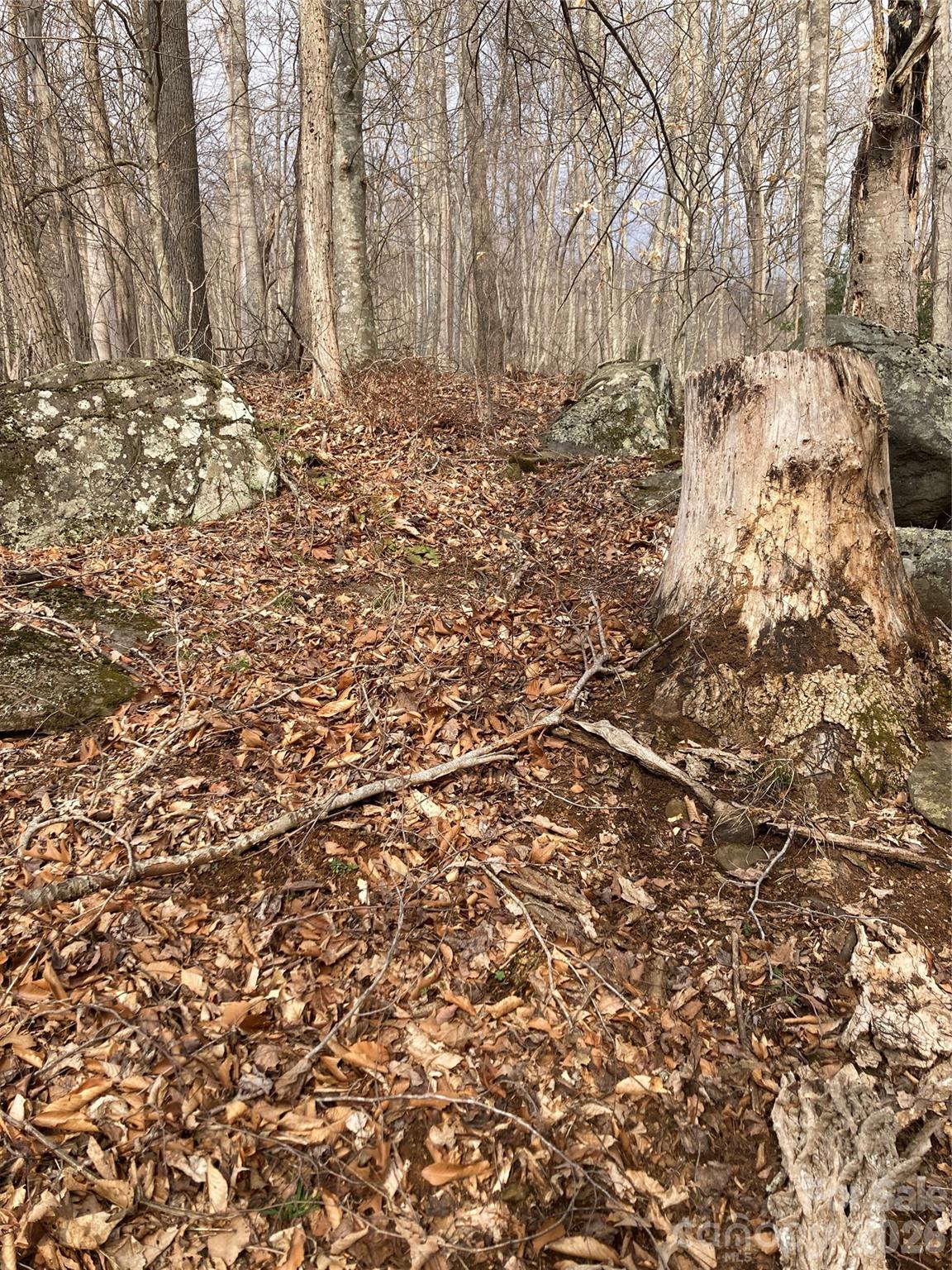 00 Sweet Creek Road Bakersville NC 28705