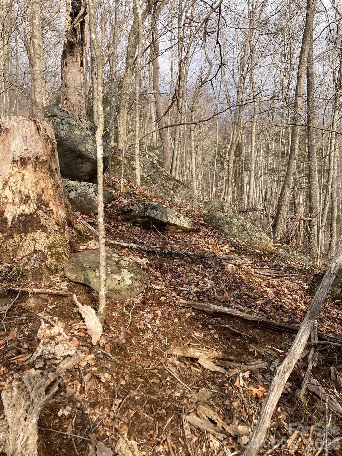 00 Sweet Creek Road Bakersville NC 28705