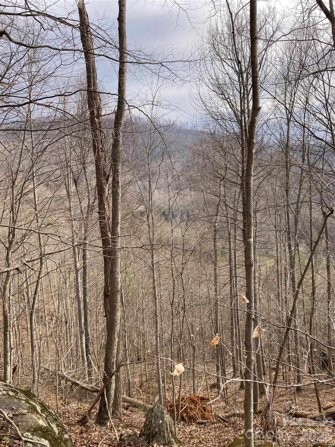 00 Sweet Creek Road Bakersville NC 28705