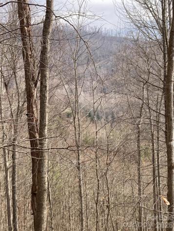 00 Sweet Creek Road Bakersville NC 28705