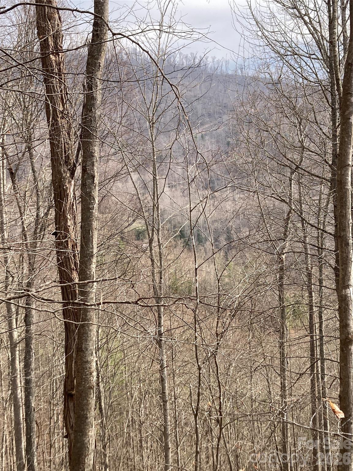 00 Sweet Creek Road Bakersville NC 28705