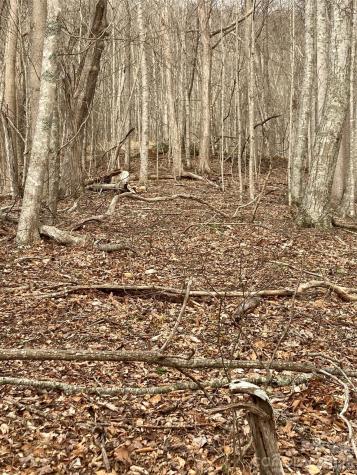 00 Sweet Creek Road Bakersville NC 28705
