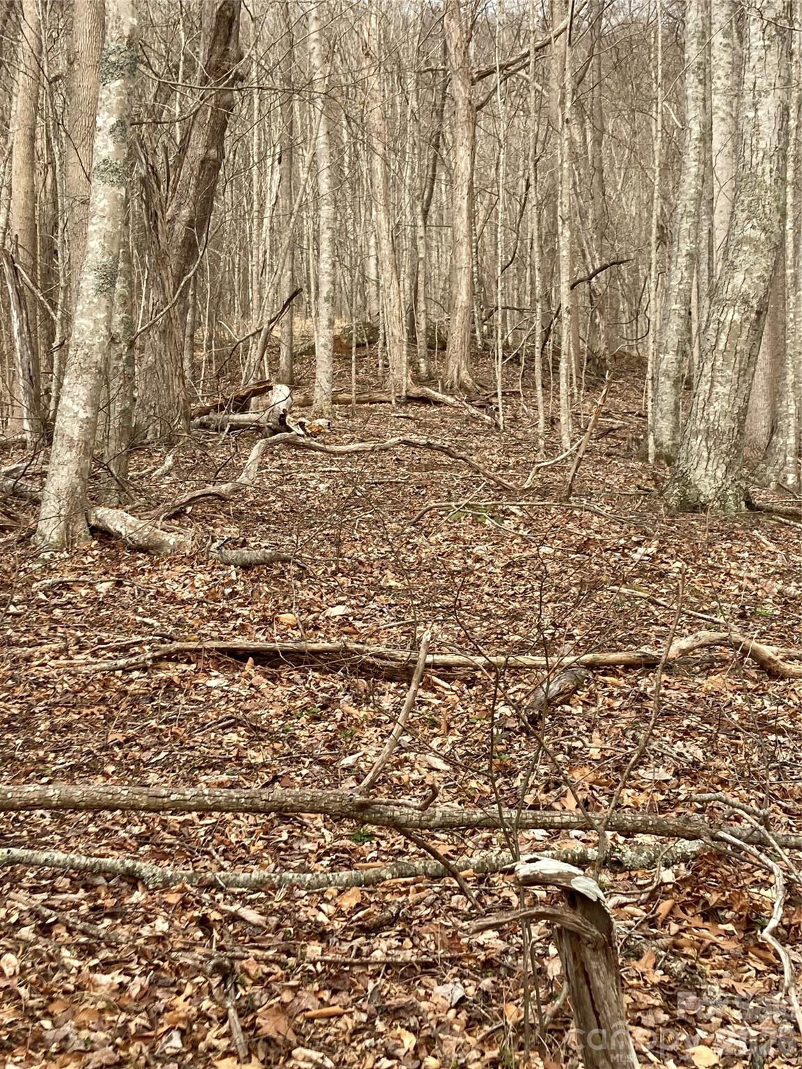 00 Sweet Creek Road Bakersville NC 28705