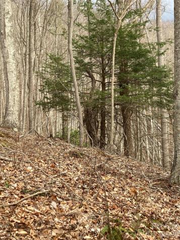 00 Sweet Creek Road Bakersville NC 28705