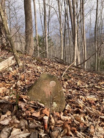 00 Sweet Creek Road Bakersville NC 28705