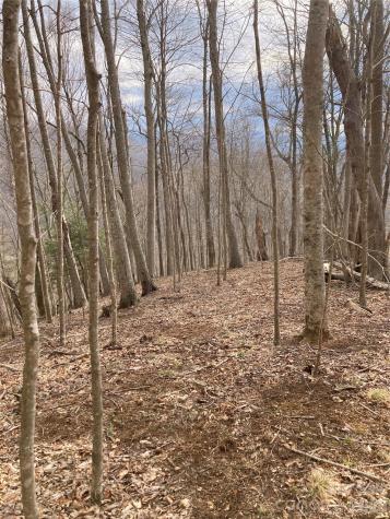 00 Sweet Creek Road Bakersville NC 28705