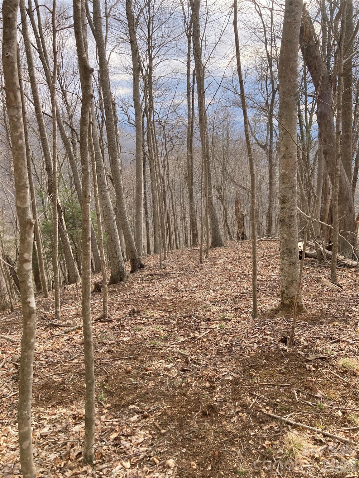 00 Sweet Creek Road Bakersville NC 28705