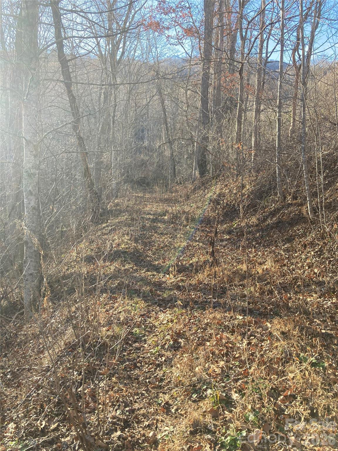00 Sweet Creek Road Bakersville NC 28705