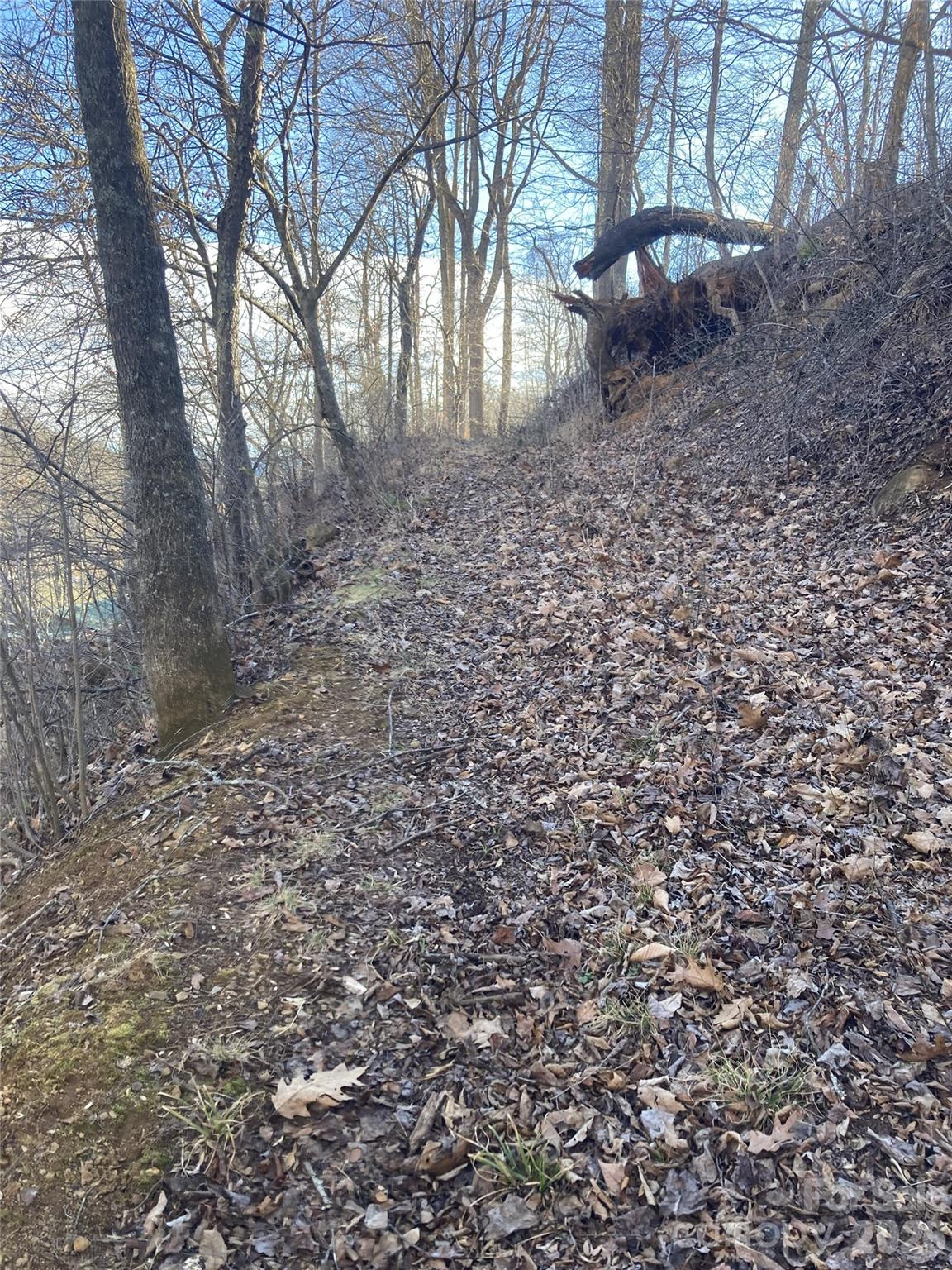 00 Sweet Creek Road Bakersville NC 28705