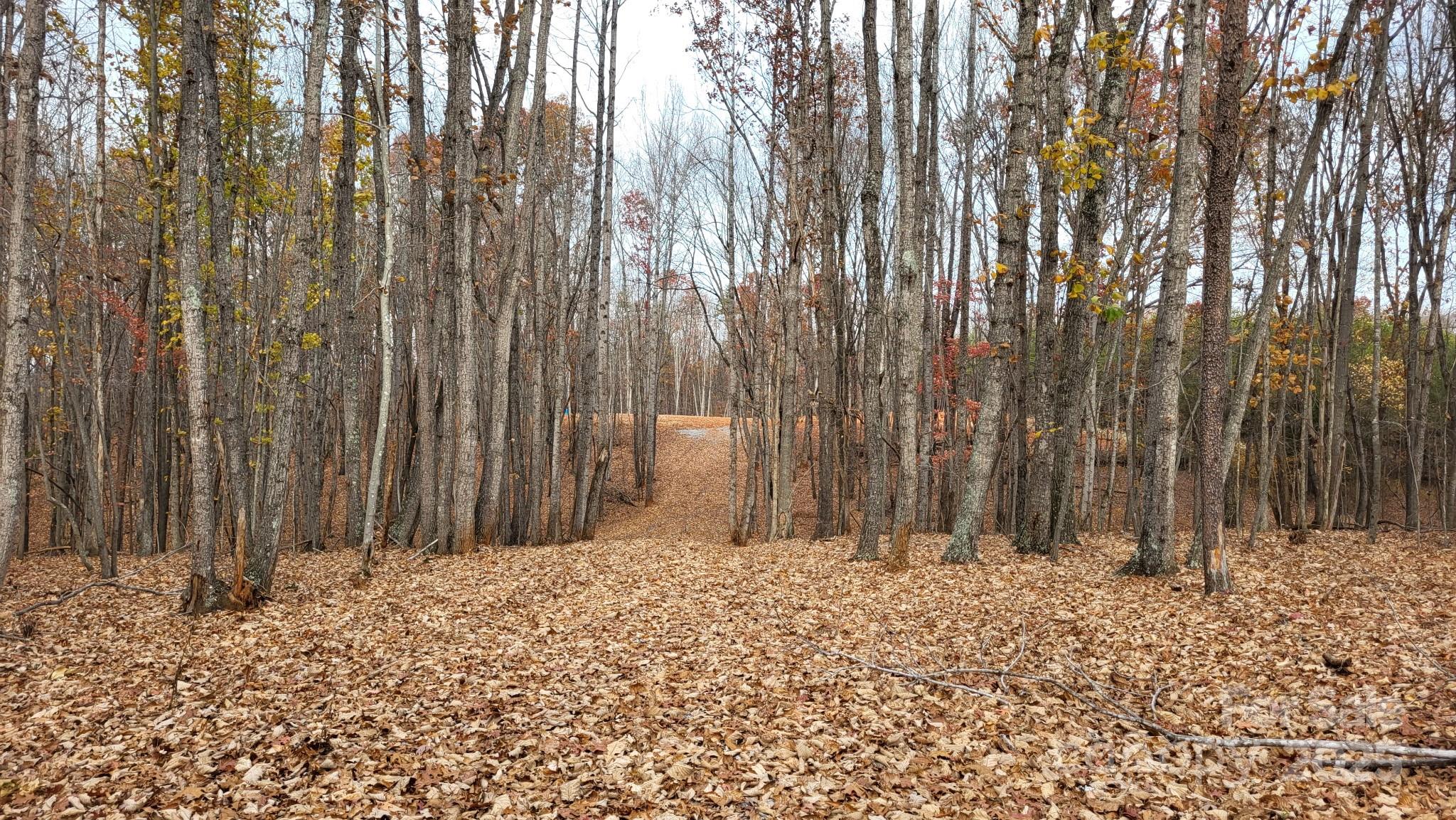 1056 Stephens Trail Road Sandy Ridge NC 27046